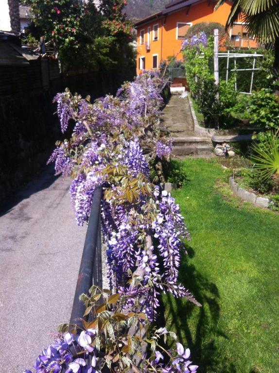 B&B Villa Dei Pini 카노비오 외부 사진