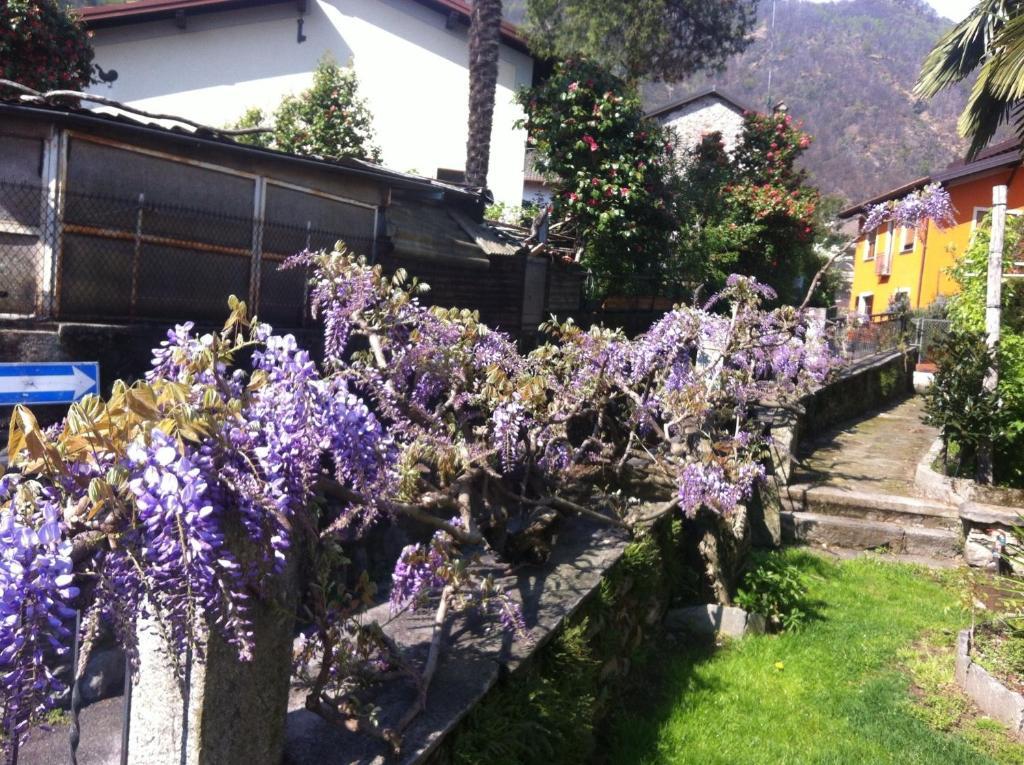 B&B Villa Dei Pini 카노비오 외부 사진