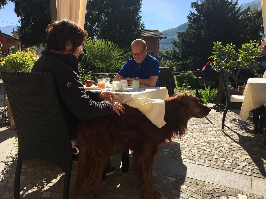 B&B Villa Dei Pini 카노비오 외부 사진