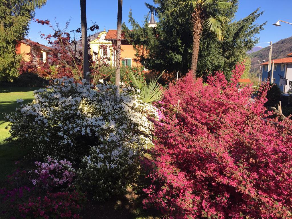 B&B Villa Dei Pini 카노비오 외부 사진