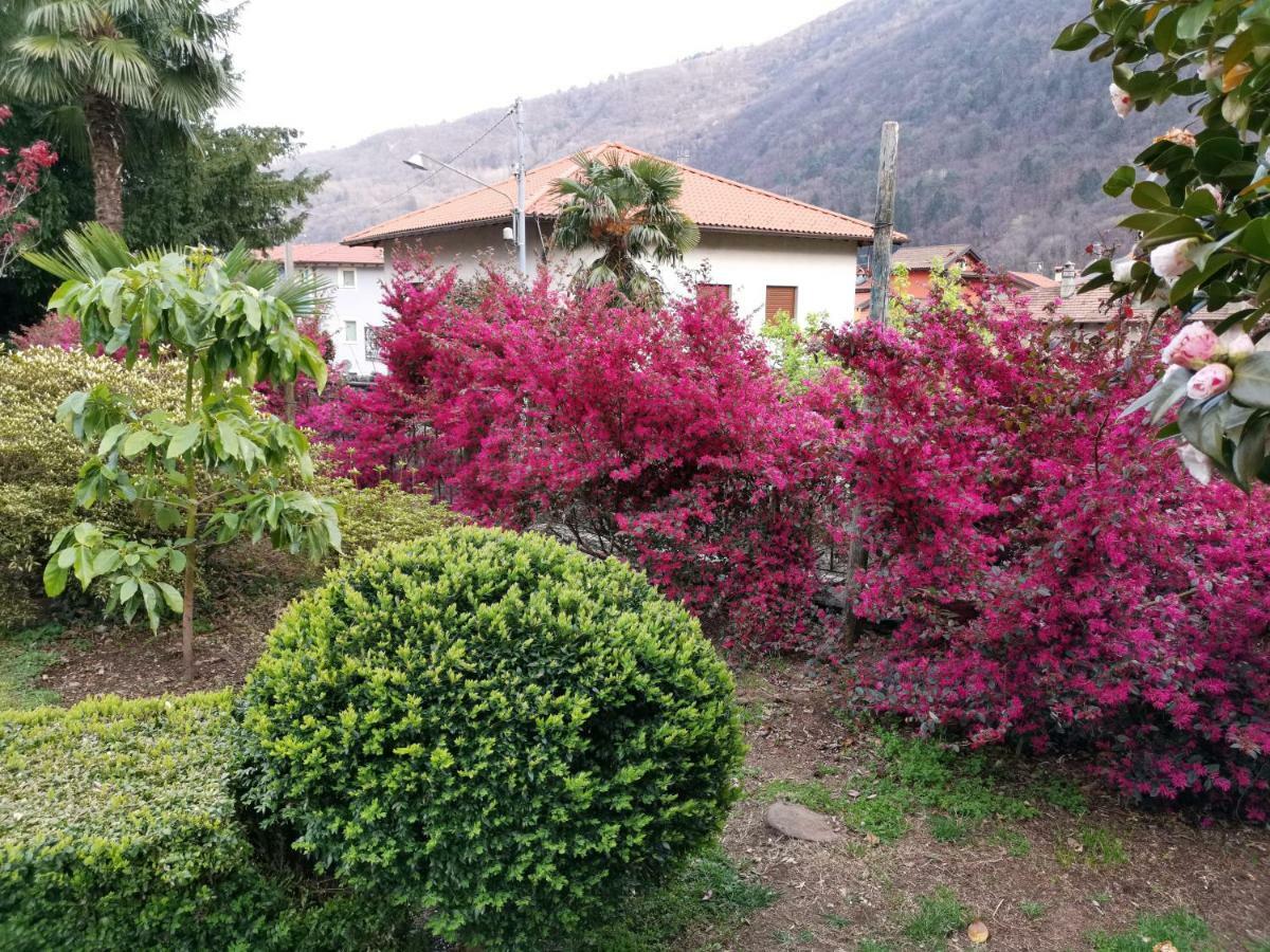 B&B Villa Dei Pini 카노비오 외부 사진